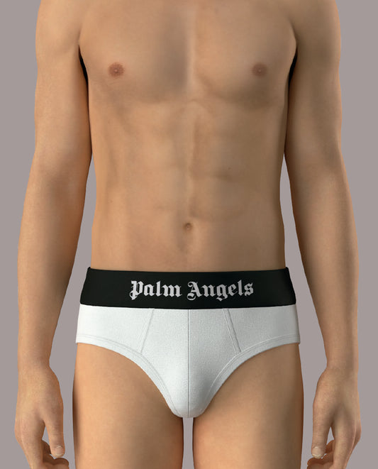 PALM ANGELS BLACK BOX PLA1UMBSP01TR BRIEFS TRIPACK - PACK 3 U - MIX COLOR (White-Navy-Black))